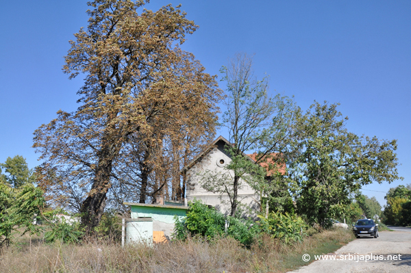 Prilazni put do stanice Kovin