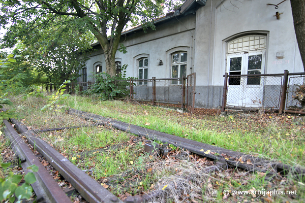Stanični koloseci