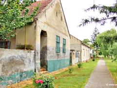 Letnje jutro u Novom Bečeju Letnje jutro u Novom Bečeju