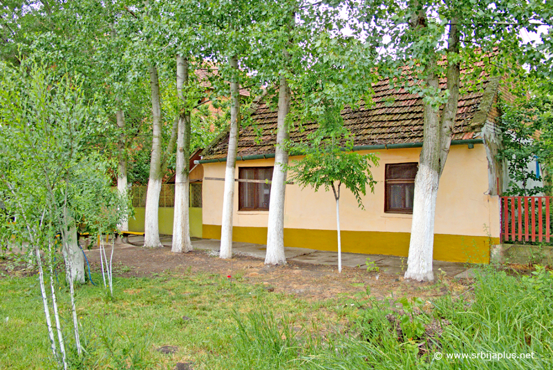 Radojevo - Seoski ambijent