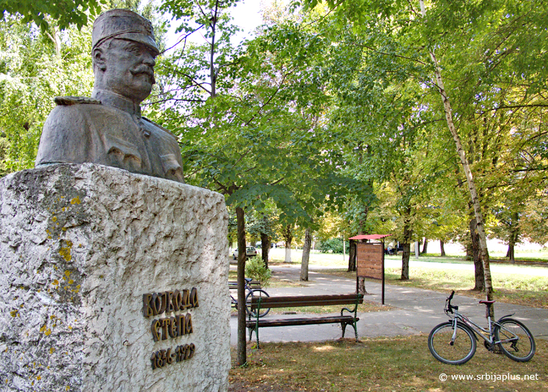 Vojvoda Stepa - Spomenik Vojvodi Stepi u centru sela