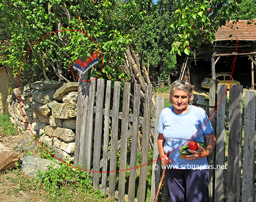 Gospođa Zorka na povratku iz bašte, Aldinac, Knjaževac