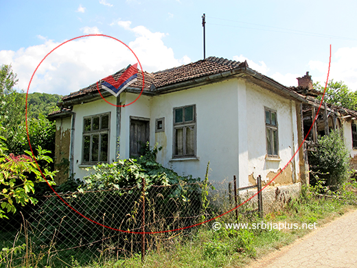 Vinova loza, čuvar napuštene kuće, Aldinac, Knjaževac