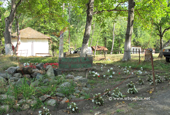 Školsko dvorište, Balta Berilovac, Knjaževac