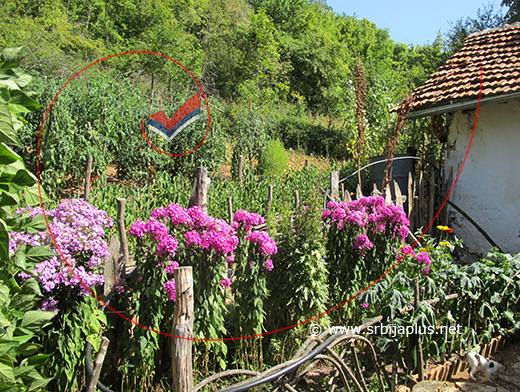 Mala seoska bašta, Banjski Dol, Dimitrovgrad