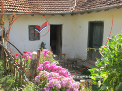 Banjski Dol - Dimotrovgrad Banjski Dol - Dimotrovgrad