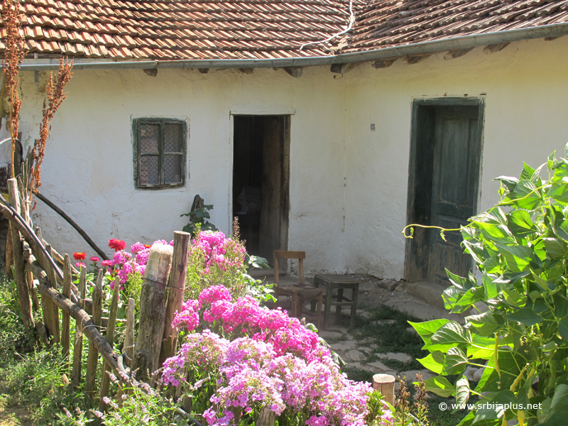 Lepo seosko dvorište, Banjski Dol, Dimitrovgrad