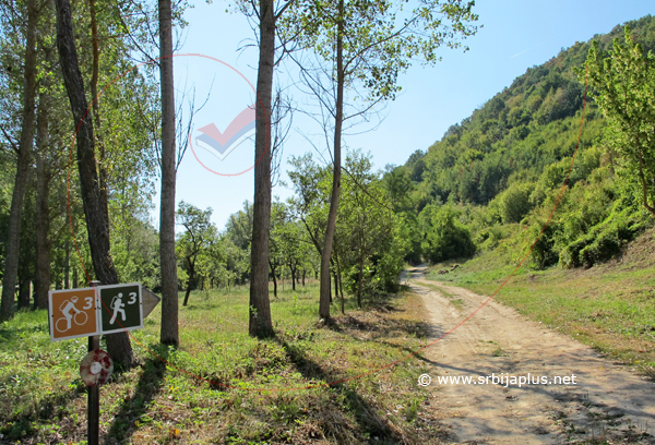 Bigar potok, Knjaževac