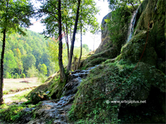 Bigar potok, Knjaževac