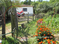 Bilo, bašta porodice Dimitrov Bilo, bašta porodice Dimitrov