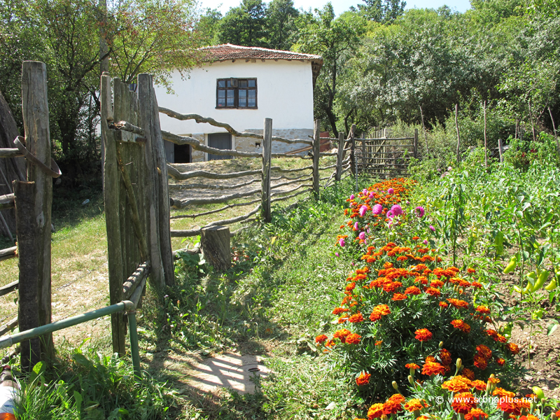 Bašta porodice Dimitrov, Bilo, Dimitrovgrad
