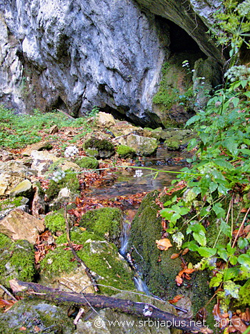 Izvor reke Zijače, Bjeluša, Arilje