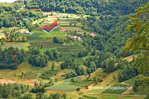Bjeluša, malinjaci u Pajovićima, Arilje