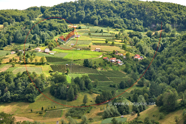 Malinjaci u zaseoku Pajevići, Bjeluša kod Arilja / Raspberriy fields at the hamlet of Pajevici, Serbia