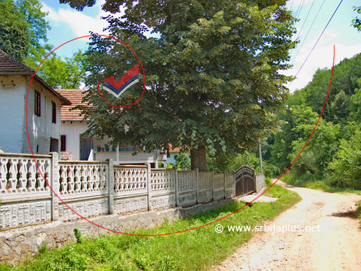 Seoski sokak s lipom, Bliznak, Žagubica
