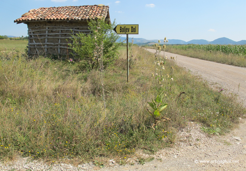 Skretanje za Boljev Dol, Dimitrovgrad