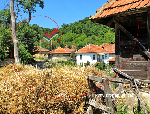 Seoski sokak i stari koš, Božinovac, Knjaževac