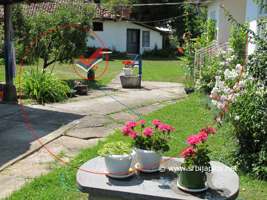 Cvetno dvorište, Braćevci, Dimitrovgrad