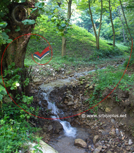 Brasinski potok u kome žive rečni rakovi, Brasina, Mali Zvornik