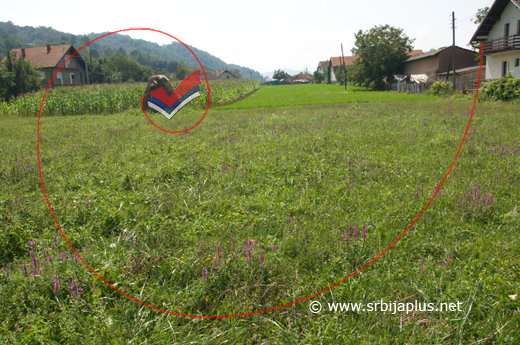 Njive i livade u centru sela Brasina, Mali Zvornik