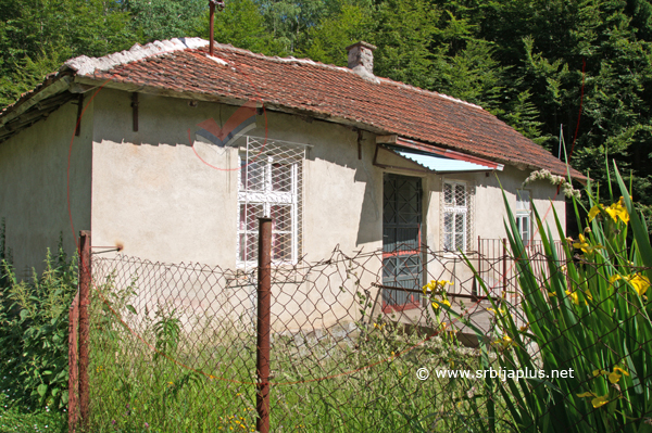 Seosko dvorište s perunikom, Bajinci, Crna Trava
