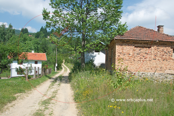 Stara i nova arhitektura, Bankovci, Crna Trava