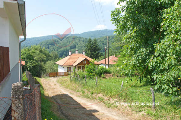 Nove kuće, Bankovci, Crna Trava