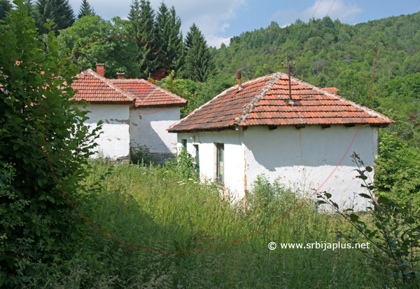 Porodične kuće, Bankovci, Crna Trava