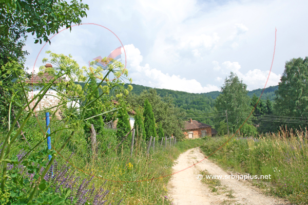 Seoski sokak, Bankovci, Crna Trava