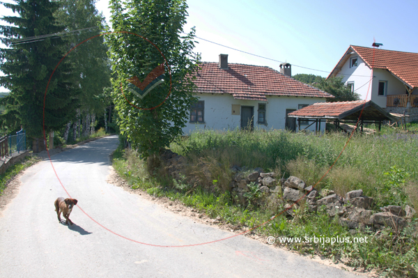 Put kroz selo, Bistrica, Crna Trava