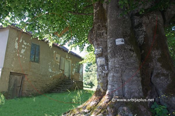 Stogodišnja seoska kuća, Bistrica, Crna Trava