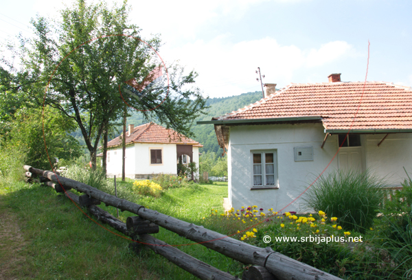 Lepo domaćinstvo, Mahala Dećeve (Brod), Crna Trava
