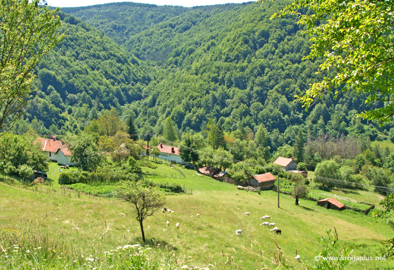 Čuka, Panorama mahale Grci, Crna Trava