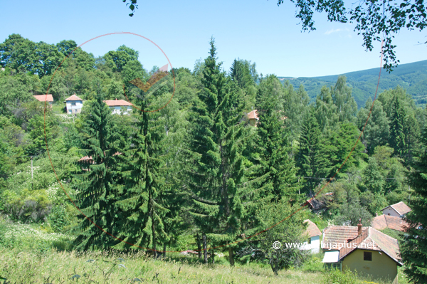 Mahala Radovinci, Čuka, Crna Trava