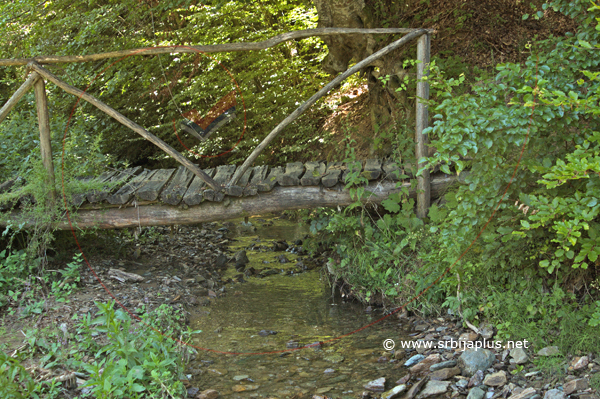 Bistri planinski potok, Darkovce, Crna Trava