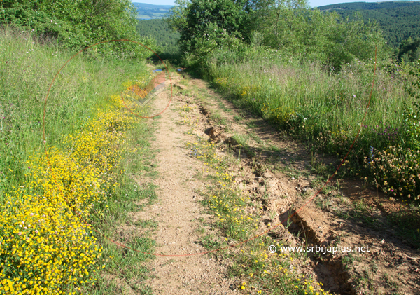 Seoski put s pogledom na Vlasina Rid i Vlasinsko jezero, Dojčinovci, Crna Trava