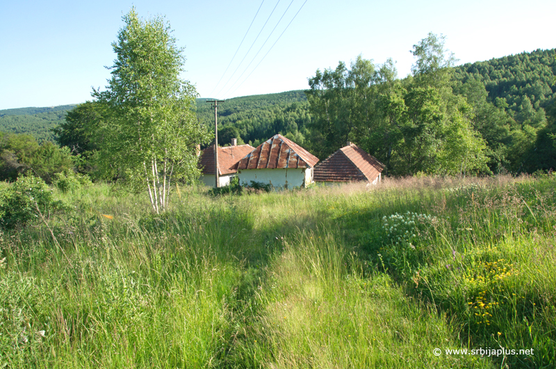 Selo Dojčinovci (Dojčinova Mahala), Crna Trava, juli 2019 - autor Zoran Cvetković