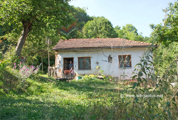 Kuća na putu za centar sela, Gornje Gare, Crna Trava