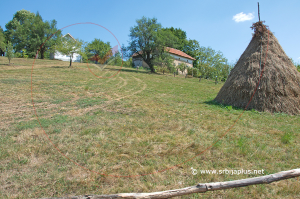 Seoske livade, Krivi Del, Crna Trava