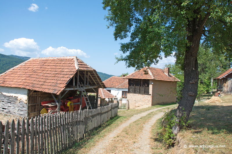 Seoski sokak, Krivi Del, Crna Trava