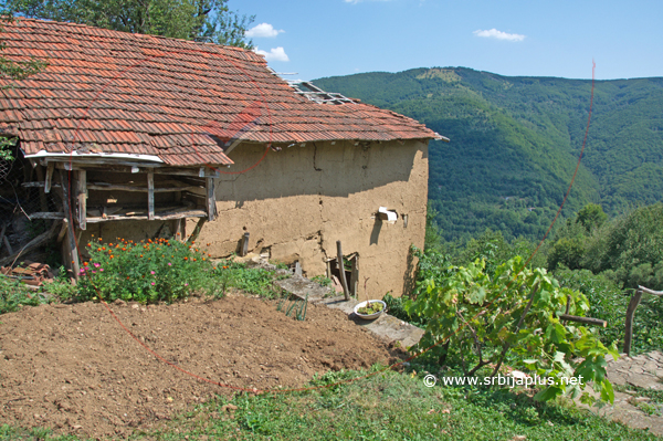 Seosko dvorište s pogledom, Krstićevo, Crna Trava