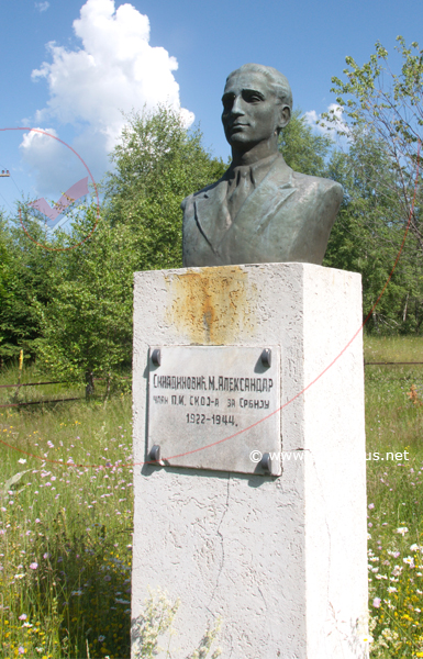 Spomenik Aleksandru M. Sinadinoviću, Mlečiške Meane, Crna Trava