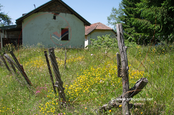 Dvorište s planinskim biljem, Mlačište, Crna Trava
