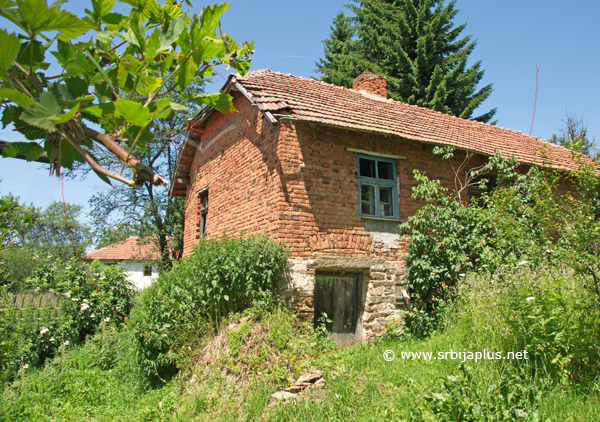 Čokot vinove loze u dvorištu i tradicionalna kuća, Mlačište, Crna Trava