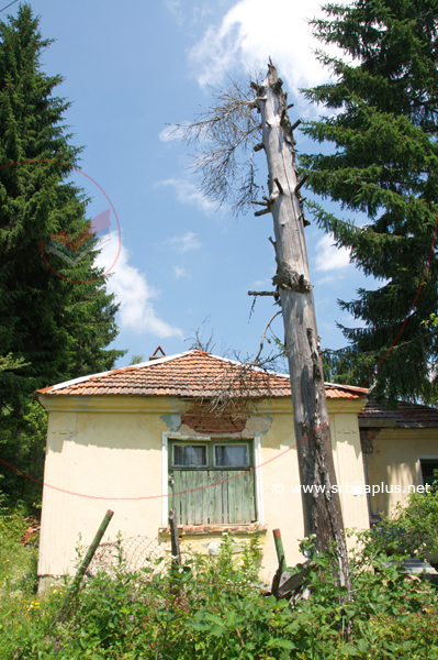 Lepa seoska kuća, Ostrozub, Crna Trava