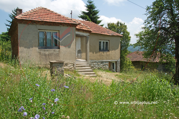 Centar sela, Ostrozub, Crna Trava
