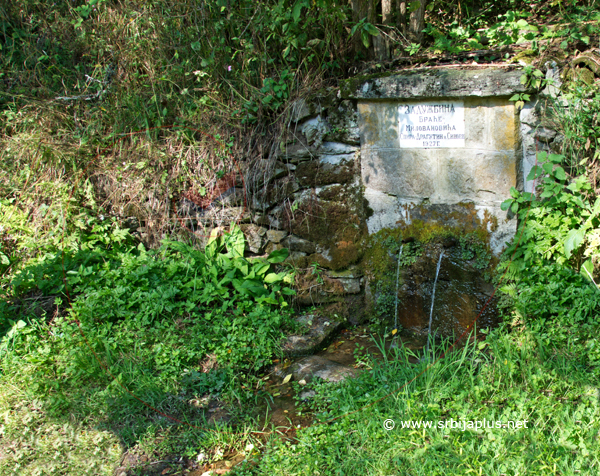 Seoska česma, Pavličine, Crna Trava