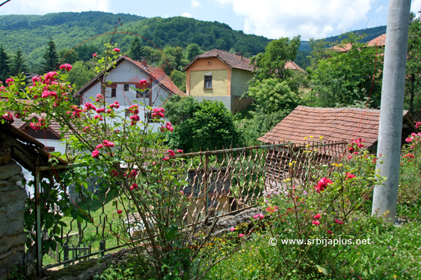 Panorama, Preslap, Crna Trava
