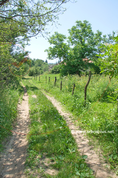 Seoski sokak, Rajčetine, Crna Trava