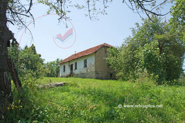 Letnje popodne u Rajčetini, Crna Trava